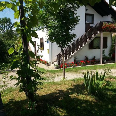 Apartment Manda Rakovica Exterior foto